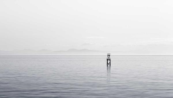 2026世界杯预选赛亚洲区中国队2-0击败日本队，出线形势大好